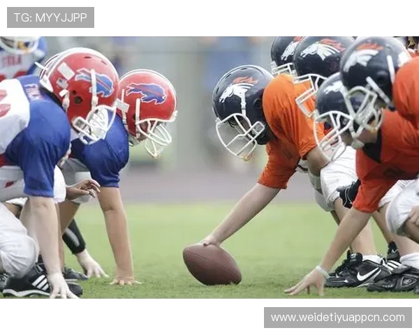 昇得源源体育在青少年体育培训中的成功案例与实践经验分享